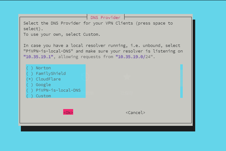 DNS Provider