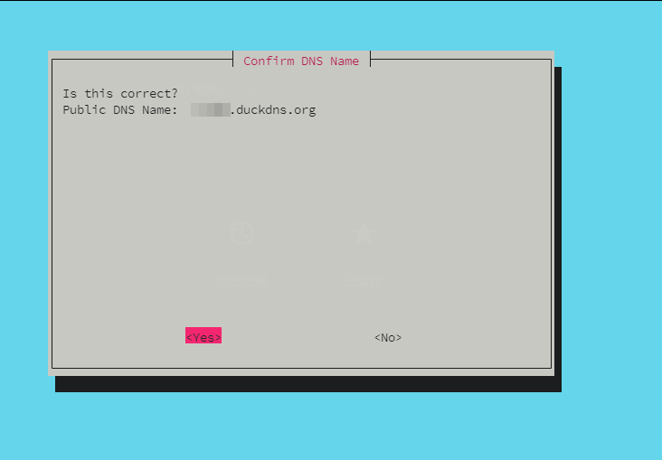 Confirm DNS Name
