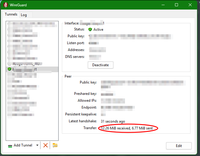 WG VPN Client