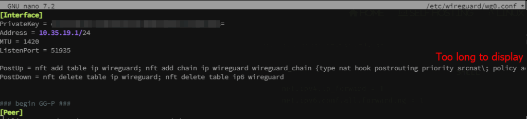 Wireguard VPN conf edit 01